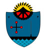 virreydelpino